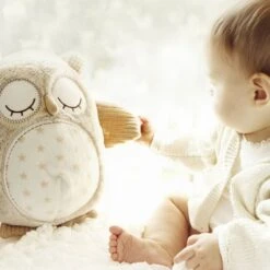 Cloud-B Peluche Musicale Bruit Blanc Avec Détecteur De Pleurs Hibou -Produits Pour Bébé cd060408847 4
