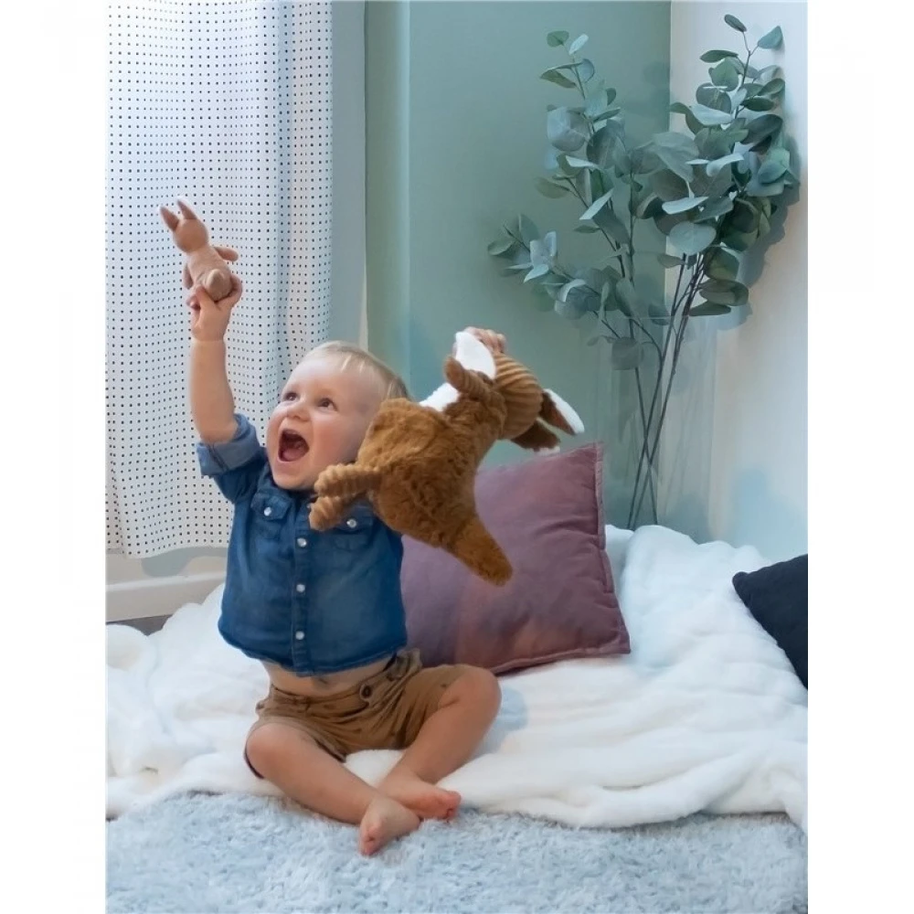 Peluche Kangourou Et Son Bébé Cassonade Allézou Les Ptipotos 7 Peluche Kangourou Et Son Bébé Cassonade Allézou Les Ptipotos – Image 5