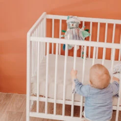 Grand Miroir D'éveil Chillos Le Paresseux 7 Grand Miroir D'éveil Chillos Le Paresseux -Produits Pour Bébé dg084000414 2