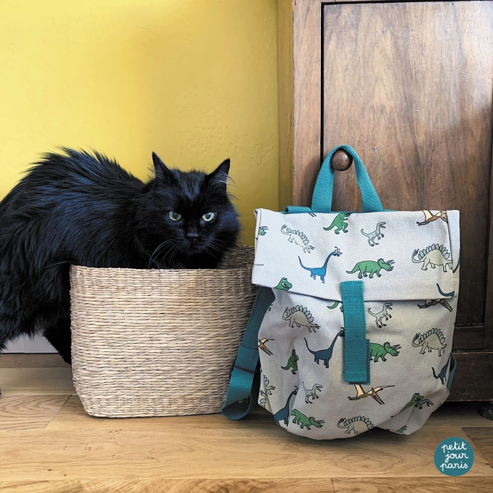 Sac à Dos Mini-coursier Les Dinosaures 6 Sac à Dos Mini-coursier Les Dinosaures – Image 4