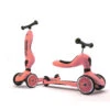 Porteur 2 En 1 évolutif En Trottinette Highwaykick 1 Pêche -Produits Pour Bébé sr082063534