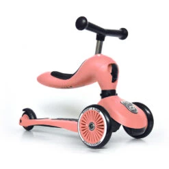 Porteur 2 En 1 évolutif En Trottinette Highwaykick 1 Pêche -Produits Pour Bébé sr082063534 1