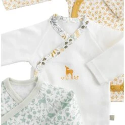 Lot De 3 Bodies 3 Mois Promenons Nous -Produits Pour Bébé st121025151 1