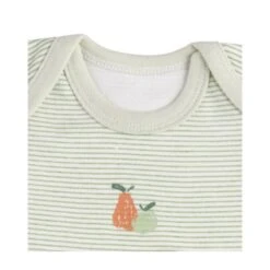 Lot De 3 Bodies 6 Mois Manches Courtes Botanica -Produits Pour Bébé st121028039 1